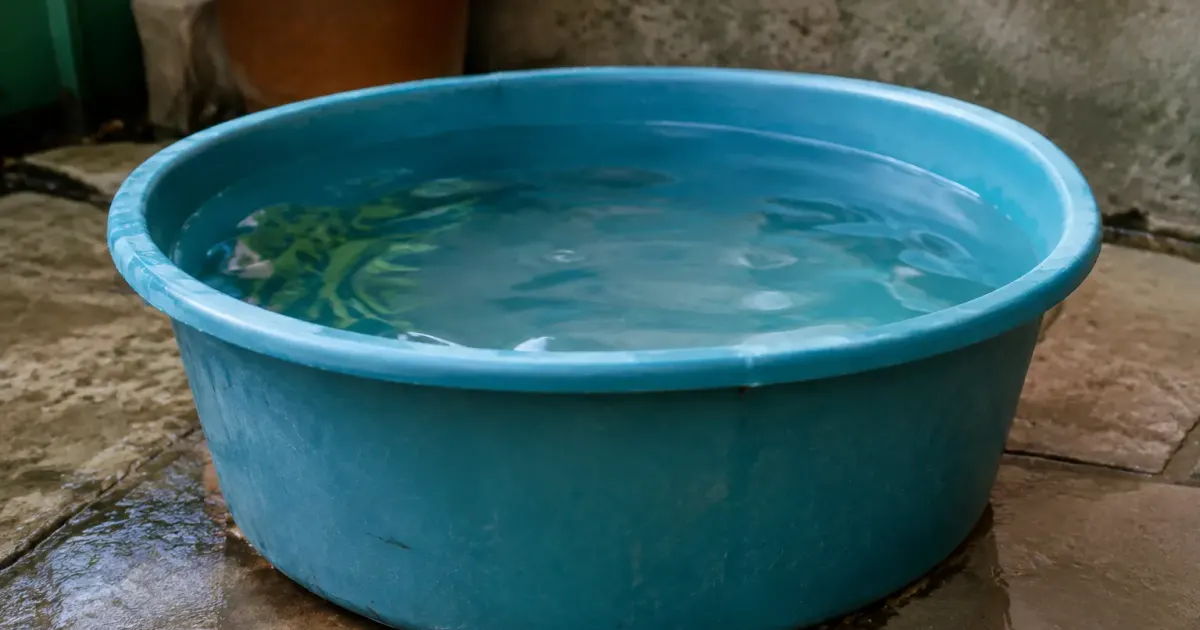 Main vide un bac rempli d eau au sol